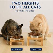 Elevated Cat Bowls For Indoor Cats – Raised Bamboo Cat Bowl Stand With 5.5" Wide Stainless Steel Dishes, Pet Food Table Plate For Easy Feeding, Whisker Friendly (Silver,Set Of 2){"Size_name":"2Squares"} - 2個正方形 - 查看 4