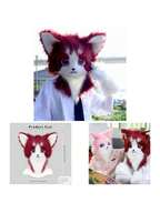 Uniforms & Special Clothing