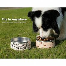 Stainless Steel Dog Bowls For Medium Large Breed - 4 Cup Non Slip Anti Rust, Insulated Metal Dog Food And Water Bowl - Spill Proof Heavy Duty, Dishwasher  (32 Oz, Luxy Leopard){"Color_name":"LuxyLeopard","Size_name":"4Cup/32oz"} - LuxyLeopard - 查看 7