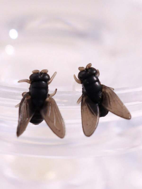 1 par de brincos de silicone realistas e engraçados com mosca preta, adequados para uso diário, festivais e festas