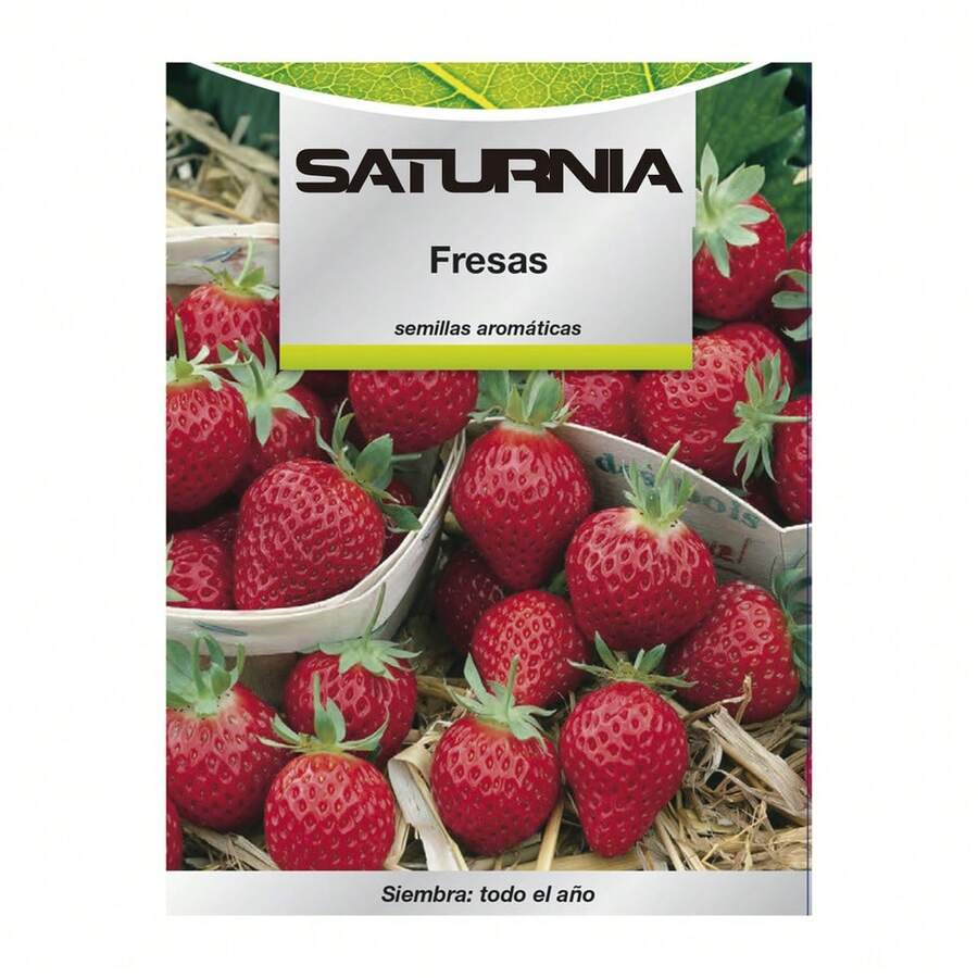 Hạt giống dâu tây - Đỏ - Xem 1