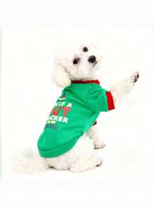 5件套宠物圣诞服装，猫狗运动衫，适合中小型犬和猫，泰迪，博美犬，比熊犬 - 彩色 - 查看 4