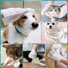 Toallitas de Guantes de Aseo para Mascotas para 10 Piezas, sin Enjuague, Toallitas de Baño para Perros y Gatos, Toallitas Desechables para Mascotas Hecho de algodón - 1 - Ver 7
