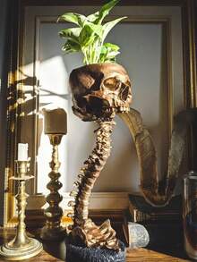 Złote i czarne doniczki z podstawkami z grzbietem, doniczki z żywicy w kształcie czaszki, wystrój domu w stylu gotyckim, dekoracja w stylu czaszki grozy, misa na cukierki, ozdoby, odpowiednie do dekoracji domu, dekoracji ogrodu, prezentów świątecznych