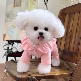 宠物秋冬新款羊毛保暖四腿毛衣，适合猫、狗、泰迪、博美犬、比熊犬、小型犬，圣诞节和新年礼物