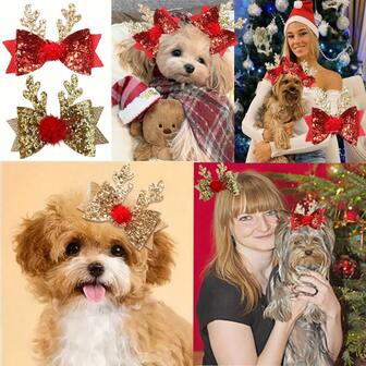 Pet Hair Accessories