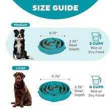Fun Feeder Slo Bowl, Medium Slow Feeder Dog Bowl, 2 Cups, Turquoise{"Color_name":"Turquoise","Size_name":"Medium"} - Màu ngọc lam - Xem 6