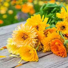 Paquete mixto de 6000+ semillas de caléndula, hermosas flores cultivadas en jardines domésticos, variedades tradicionales no transgénicas, semillas de flores anuales, caléndulas adecuadas para plantar en macetas y en el suelo, plantas de polinización abierta, semillas perfectas para cualquier entorno de jardín. - 3000+ mixtos - Ver 6