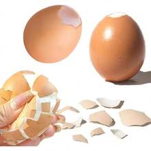 2025 Upgrade Realistic Egg Shell Crush Squishy Toys, Creative Crushable Eggshell, Stress Relief For Home, Office And School