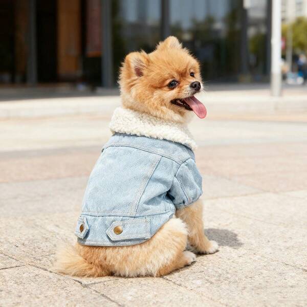 1 قطعة ملابس للقطط والكلاب، جاكيت من الدنيم المغسول مع فرو صوفي للخريف/الشتاء مع طوق من الفرو