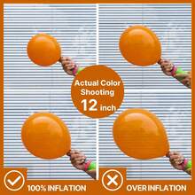 127pcs Balloons,  Balloons Different Sizes Pack Of 36 Inch 18 Inch 12 Inch 10 Inch 5 Inch Balloons For Balloon Garland - Trending, Best Seller, New Arrival, Party Supplies, Elegant Decor, Party Decoration, Wedding & Birthday - 橘色 - 查看 3