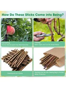 20pcs/Pack Natural Peach Wood Chew Sticks, Suitable For Rabbits, Hamsters, Super Hard Chew Toys | Unprocessed, And Durable Rodent Chew Treats