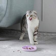 Silicone Slow Feeder Dog Cat Bowls Interactive Puzzle Toy For Pets Dry/Wet Food Training Keeps Dogs Cats Busy Prevents Puppy Kitty Overeating Purple 0.8 Cup - 08Cốc - Xem 7