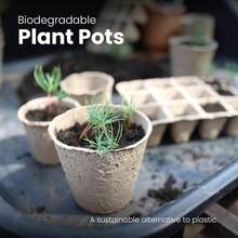 Seed Trays 96 Pcs 8 Cm Paper Cups Plant Pots Seed Round Seedling Pots For Growing Vegetables,Herb, Flower - 預設 - 查看 2