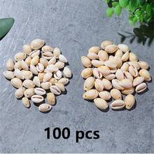 50/100pcs/Pack Small White Clam Shells, Suitable For DIY Crafts, Home Decor, Vase Filler - White - View 16