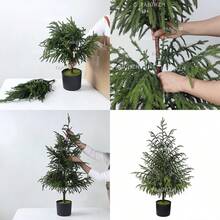 1-Pack 24" Artificial Norfolk Pine Trees - Realistic Faux Christmas Greenery For Tabletops, Mantels, Entryways, And Holiday Or Year-Round Home Decor - Green - View 6
