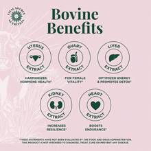 Primal Health Blend Capsules - BiFi - Vital Source Nutrition - 1 - View 3