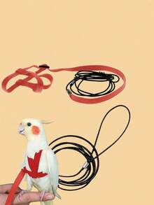 1 zestaw uprzęży i smyczy dla papugi, zabawka do nauki lotu dla zwierząt, odpowiednia do spacerów z ptakami na zewnątrz