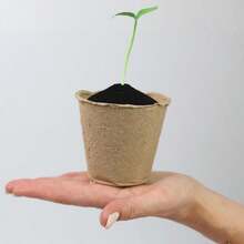 Seed Trays 96 Pcs 8 Cm Paper Cups Plant Pots Seed Round Seedling Pots For Growing Vegetables,Herb, Flower - 預設 - 查看 6