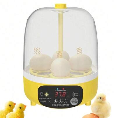 1pc Home Egg Incubator, USB Powered (Adapter Not Included), Suitable For Chicken, Duck, Bird, Turtle Eggs Incubation, With Warming Box, Automatic Or Manual Egg Turning Options, Capacity: 4 Chicken Eggs Or 8 Pigeon/Bird Eggs