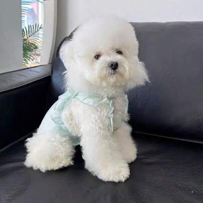 Dog Physiological Period Anti-Harassment Dedicated Menstrual Pants, Menstrual Period Safety Pants, Sanitary Napkins, Pet Physiological Pants