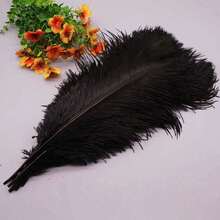 5 Stück 15-50cm künstliche Straußenfedern, schwarz und weiß, DIY Handwerks-Dekorationsfedern, geeignet für Weihnachten, Hochzeiten und Geschenkverpackung - Verschiedenfarbig - Übersicht 18