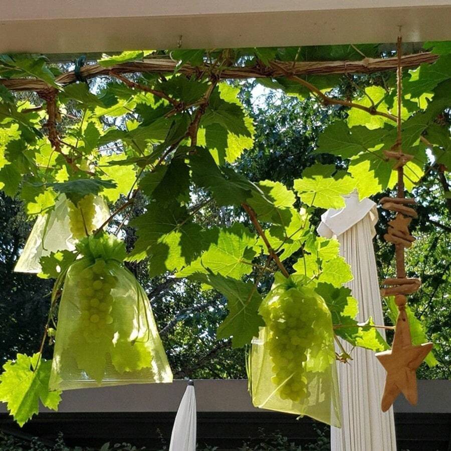 10PCS High - Quality Translucent Mesh Fruit Protection Sacks, Practical & Long - Lasting, Great For Backyard Gardening To Protect All Kinds Of Fruits During Growth Christmas