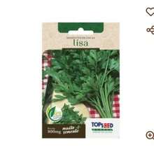 Semente De Salsa Lisa Topseed - Verde - Visão 2