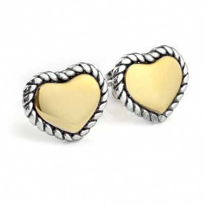 一对优雅精致的心形多色不锈钢耳钉，适合女性日常佩戴，也是送给爱人、家人、姐妹、生日、派对、圣诞节的礼物。