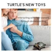 Mini Turtle Skateboard With Anti Slip Pad, Smooth Rolling Wheel Design, Suitable For Pet Toys Of Turtles And Birds