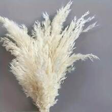 5/10/15/20pcs 20 Inch/50cm Tall Beige Pampas Grass Stems, Ideal For Adding Boho Vibes To Your Space - Pampas Grass Is Perfect For Floral Arrangements, Vases, Weddings, And Creating A Bohemian Atmosphere At Home. Christmas And Valentine's Day Wedding Decor - White - View 11