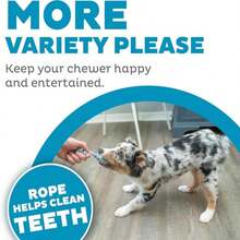 Outward Hound Mini Dentachew Dental Dog Chew Toy - 3 Pack - Great Size For Small Dogs And Puppies - ColorC - 查看 5