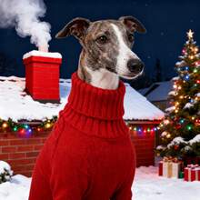 BJAYPET 1pc Dog Sweater, Soft & Comfortable, Essential For Dog's Autumn/Winter Outings, Red Color Meets Dog's Fashion Needs, Available In Multiple Sizes Suitable For Small, Medium, And Large Breed Dogs - Red - View 4