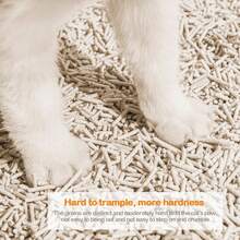 BPS Buena Pet Shop @Rena Tofu For Cats 6L ORIGINAL - White - View 3