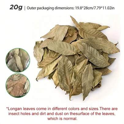 50/100pcs Dragon Eye Leaves, Suitable For Aquarium And Reptile Habitat Decor - Balance Water Quality, Climbing Pad And Aquarium Landscaping Accessories; Enhance Aesthetics And Regulate Environment, Applicable For Turtles, Goldfish Ponds, Provide Shade.