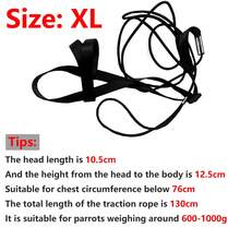 1 juego Arnés y correa para loro para volar, adecuado para pasear pájaros al aire libre - Negro - Ver 15