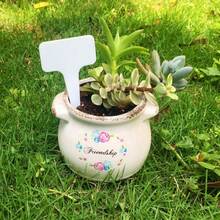 25pcs (Random Color)Colorful Plastic Plant Labels, Vibrant And Eye - Catching, Ideal For Garden Beds, Pots, And Greenhouses To Mark And Identify Different Plants Easily Christmas Pot De Fleur
