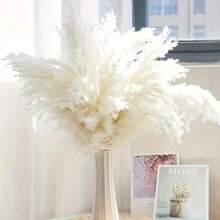 5/10/15/20pcs 20 Inch/50cm Tall Beige Pampas Grass Stems, Ideal For Adding Boho Vibes To Your Space - Pampas Grass Is Perfect For Floral Arrangements, Vases, Weddings, And Creating A Bohemian Atmosphere At Home. Christmas And Valentine's Day Wedding Decor - White - View 7