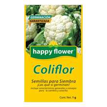 Pack de 6 Semillas de Coliflor Happy Flower – Germinación Garantizada (1 g c/u) - Amarillo - Ver 2