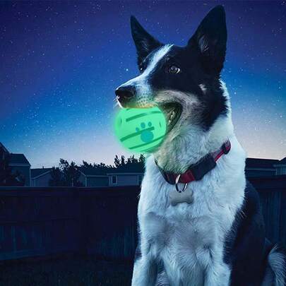 Glow-In-The-Dark Pet Ball, Available In Multiple Sizes, Glow-In-The-Dark Dog Chew Toy - Makes Amusing Sounds When Shaken, Dental Training And Cleaning, Suitable For Indoor/Outdoor, Pet Gift