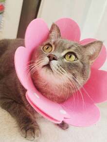 PETSIN 1pc Elizabeth Cone Cat Collar, Lightweight Felt Cone Collar For Pet Recovery, Adjustable Anti-Lick Collar