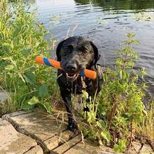 Intere Dog Toy Ultra Fetc Stick 12 Inc Outdoor Dog Toy  All Eed Sizes - 超速取 - 查看 2