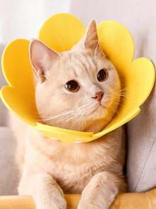 PETSIN 1pc Elizabeth Cone Cat Collar, Lightweight Felt Cone Collar For Pet Recovery, Adjustable Anti-Lick Collar