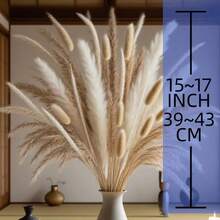 1束17英寸蒲苇草花束 - 秋季蓬松橙色干花，适用于家居、婚礼、派对、办公室、卧室、户外草坪装饰、桌面摆件，乡村风格 - 棕色 - 查看 2