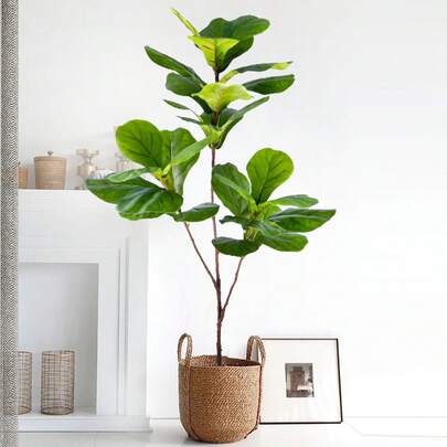76-105-135cm (53.1in) Artificial Fiddle Leaf Ficus Fig Plant For Outdoor Courtyard Garden Balcony Indoor Home And Office Decoration