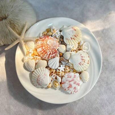 120g natürliche gemischte Muschelschalen - Aquarium Dekoration, Kiesauflage für Aquarien, Terrarium Substrat, Einsiedlerkrabben Lebensraum & natürliche Aquascaping Steine