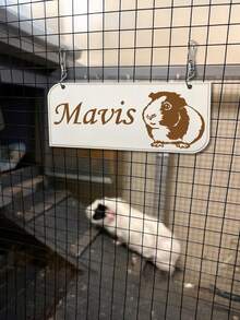 Customized Pet ID Tags, Decorative Wooden Signs, Cage Labels, Dog House Labels, Cat Labels, Hamster Labels, Bird Labels, Fish Labels, Rabbit Labels, Guinea Pig Labels, Labels, Cute Pet Food Bowl Labels, Pet Bed Labels, Christmas Decorative Gifts - Multicolor - View 6
