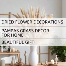 1 mazzo di decorazioni in erba di pampas, decorazioni da giardino in stile boho per tavoli, fiori secchi a forma di coda di coniglio, erba di pampas marrone e bianca per decorazioni da matrimonio, decorazioni per la casa, feste in stile country, profumo di canne secche in stile nordico - eleganza senza sforzo per la decorazione moderna della casa | adatto per vasi, mensole e stile minimalista | composizione di fiori secchi a bassa manutenzione - Castano - Visualizzare 2