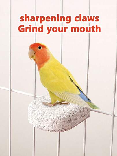 Plataforma de lixa de unhas para sorvete de papagaio, lixa de unhas fosca em pele de tigre e peônia, suporte para pássaros em forma de papagaio de pedra vulcânica