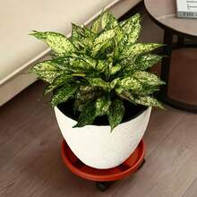 1pc Round Flower Pot Tray With Wheels - Stable, Easy-To-Move Wheel Plant Stand, Suitable For Indoor And Outdoor Use, Multi-Purpose Lawn Care Garden Tool